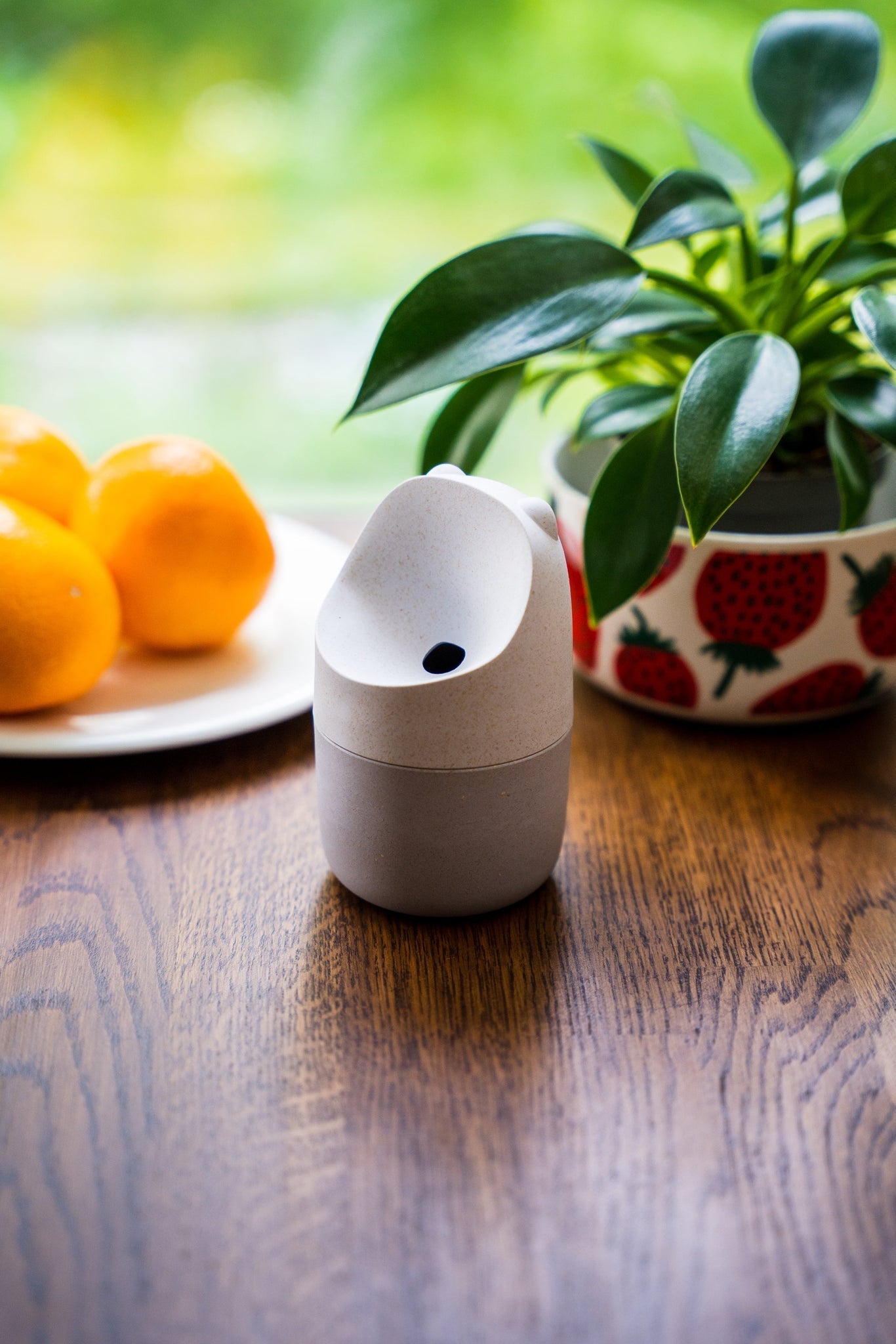 Konna Fruit Fly Trap - The Flower Crate