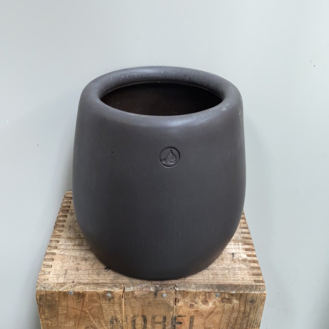 Morris & James Tulip Pot - The Flower Crate