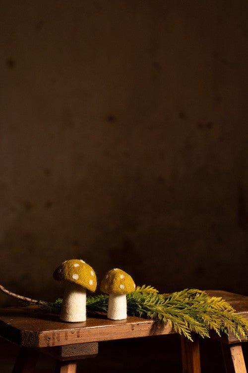 Muskhane - Dotty mushroom, Small - The Flower Crate