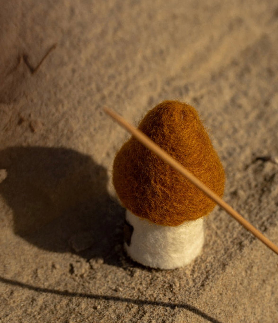 Muskhane - Morel Small - The Flower Crate