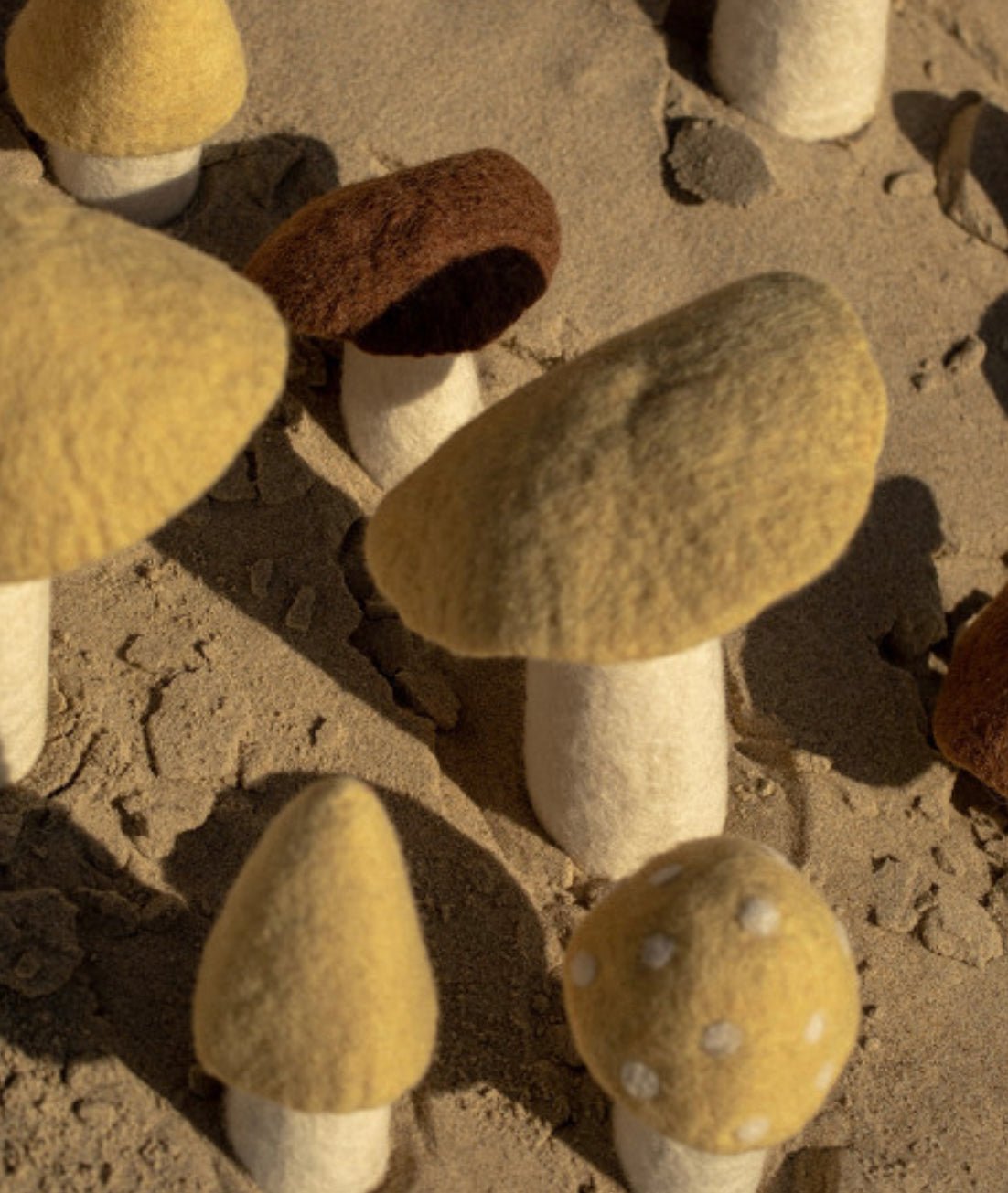 Muskhane - Mushroom Small - The Flower Crate