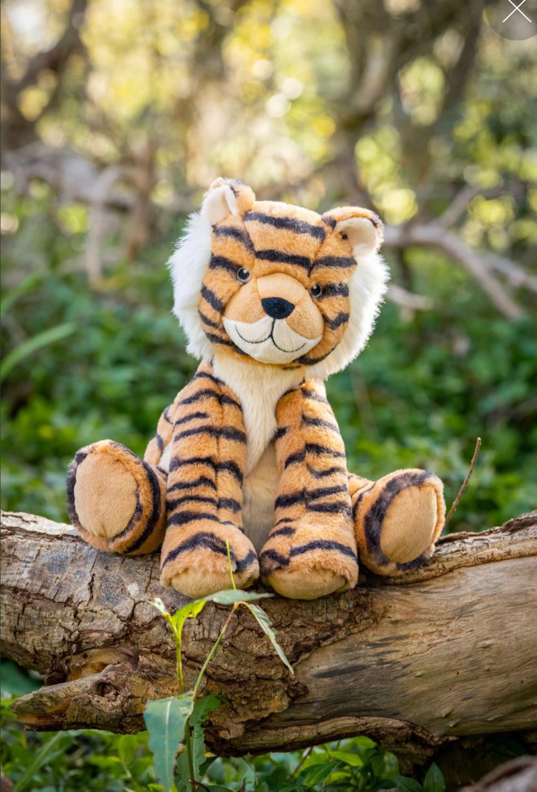 Nana Huchy - Tesh The Tiger - The Flower Crate