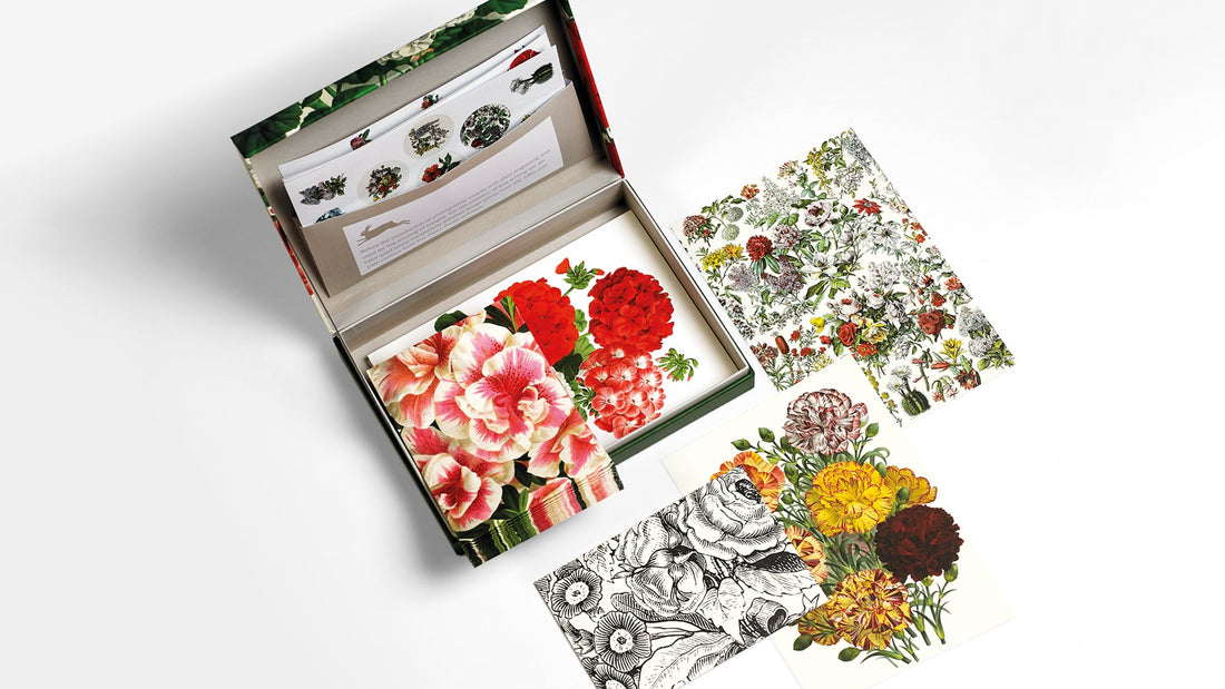 Pepin Press - Luxurious Letter Writing Set - The Flower Crate