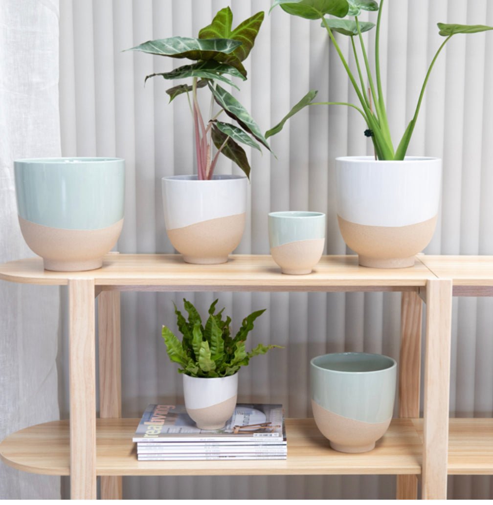 Piper Planter - The Flower Crate