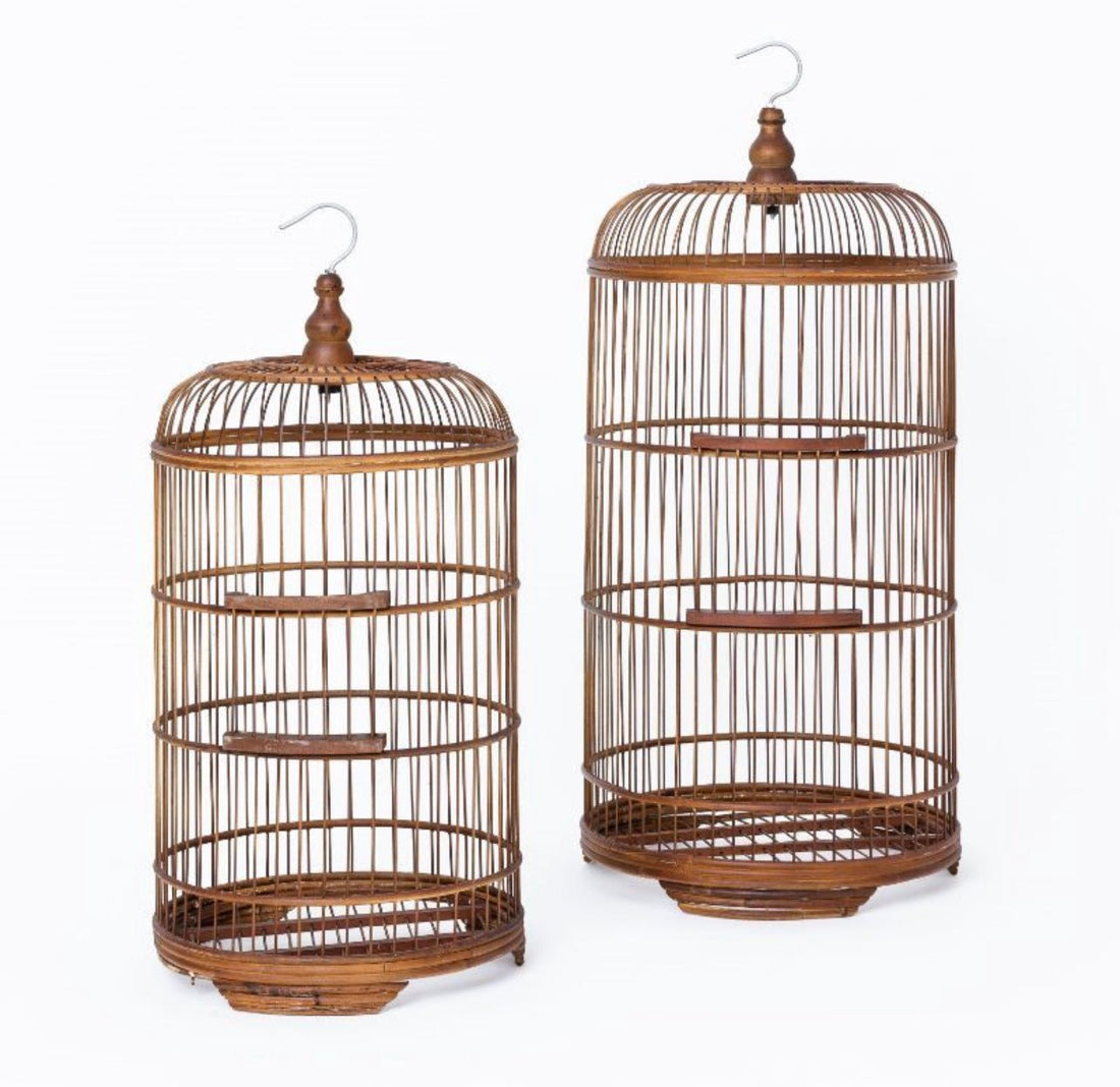 Raffles Antique Bird Cage - The Flower Crate