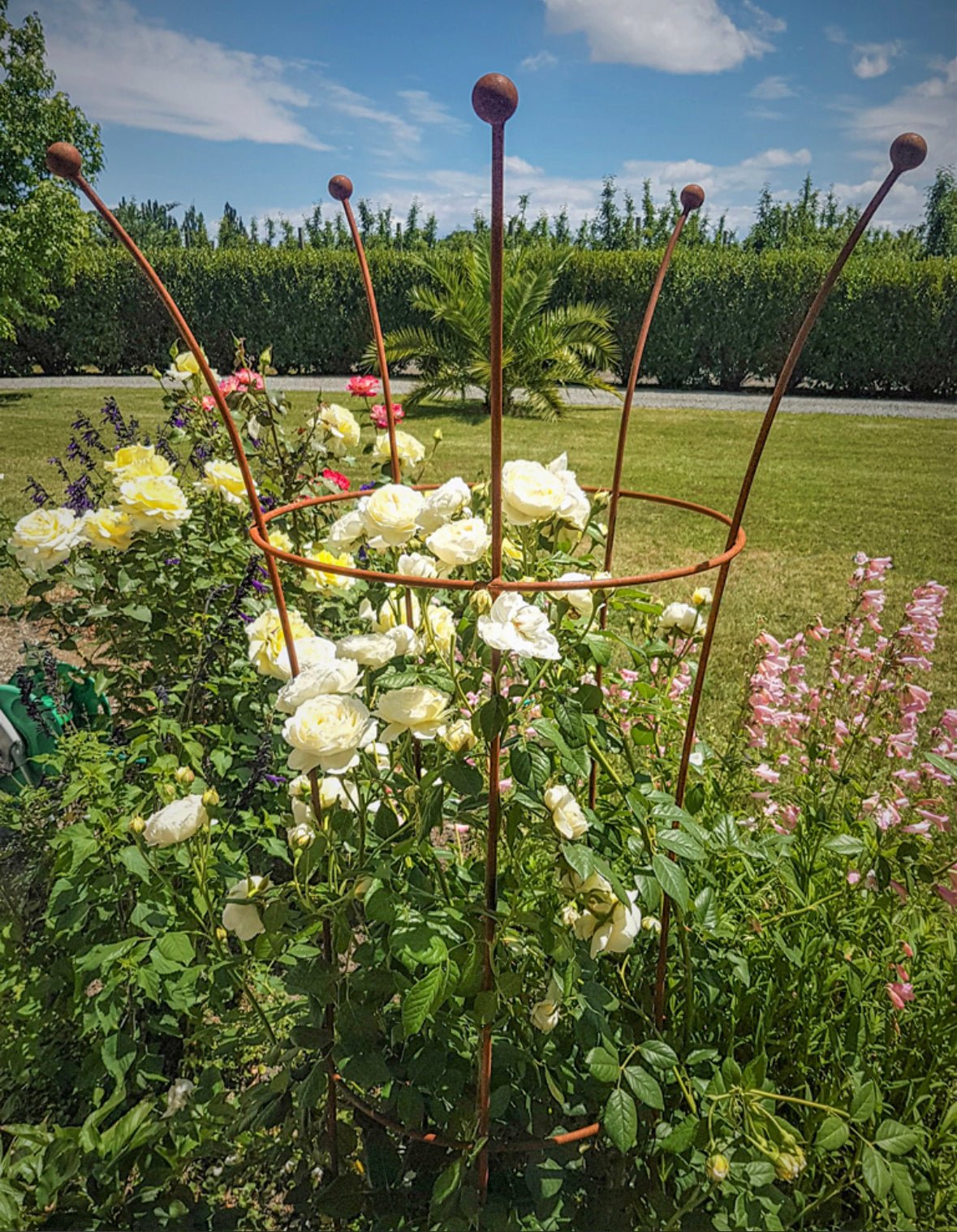 Terrascape Heritage Garden Support - Peony - The Flower Crate