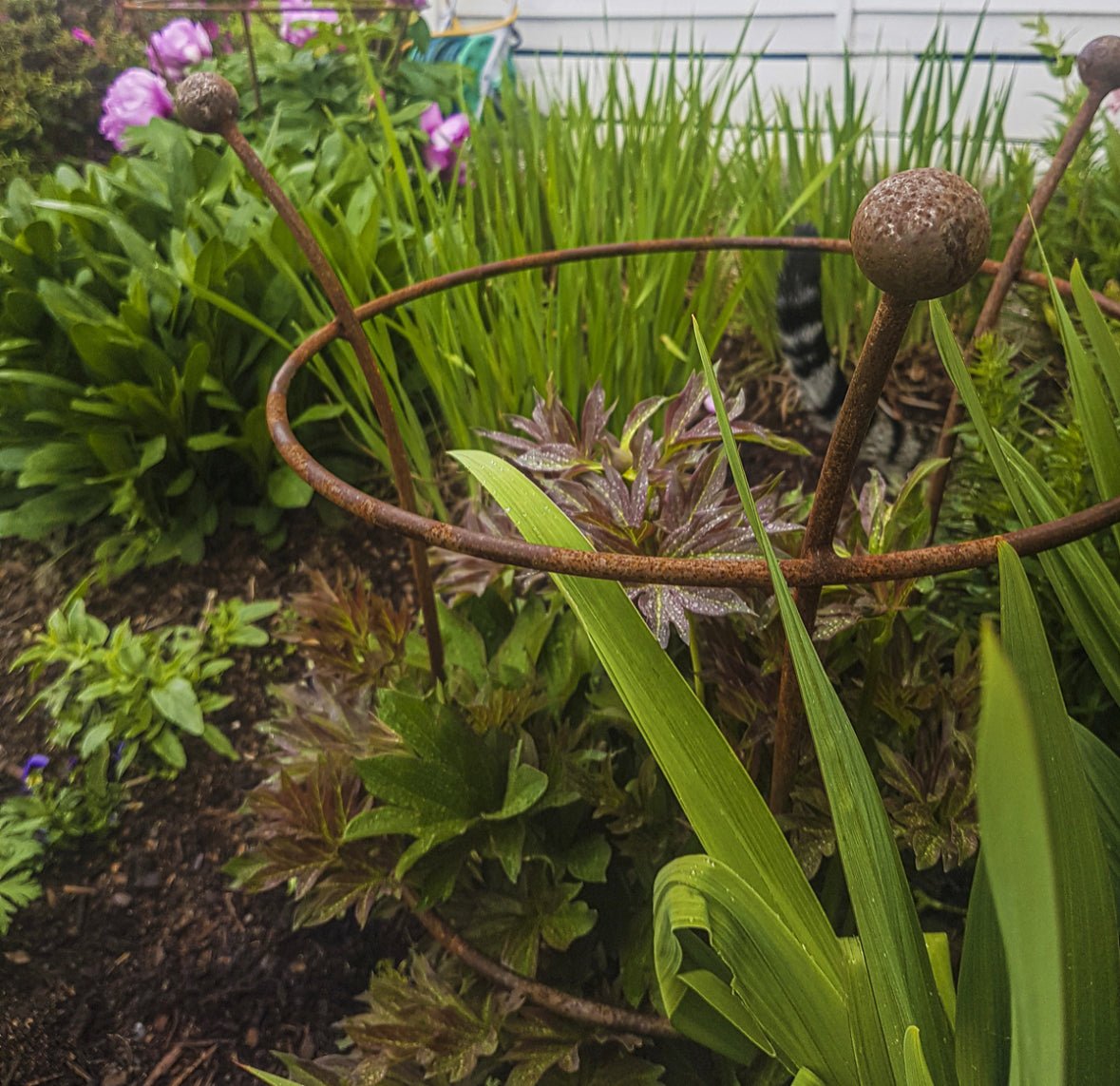 Terrascape Heritage Garden Support - Peony - The Flower Crate