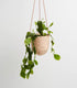 Terrazzo Hanging Planter - The Flower Crate