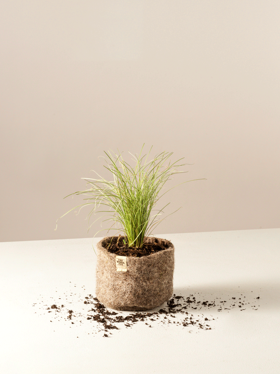 The Wool Pot - Small 3 Pack - The Flower Crate