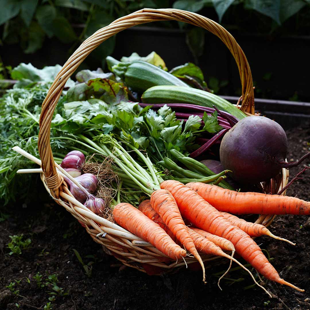 Grow Yours - The Flower Crate