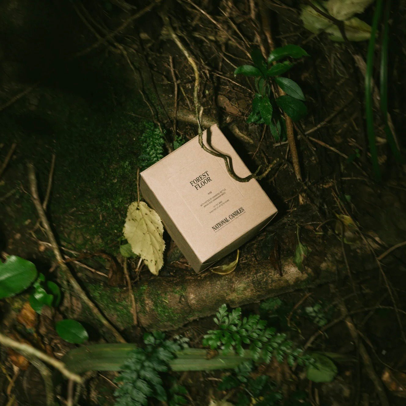 National Candles - The Flower Crate