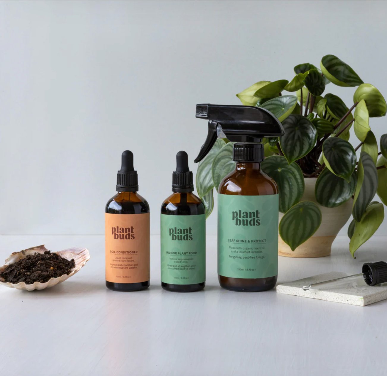 Plant Buds - The Flower Crate