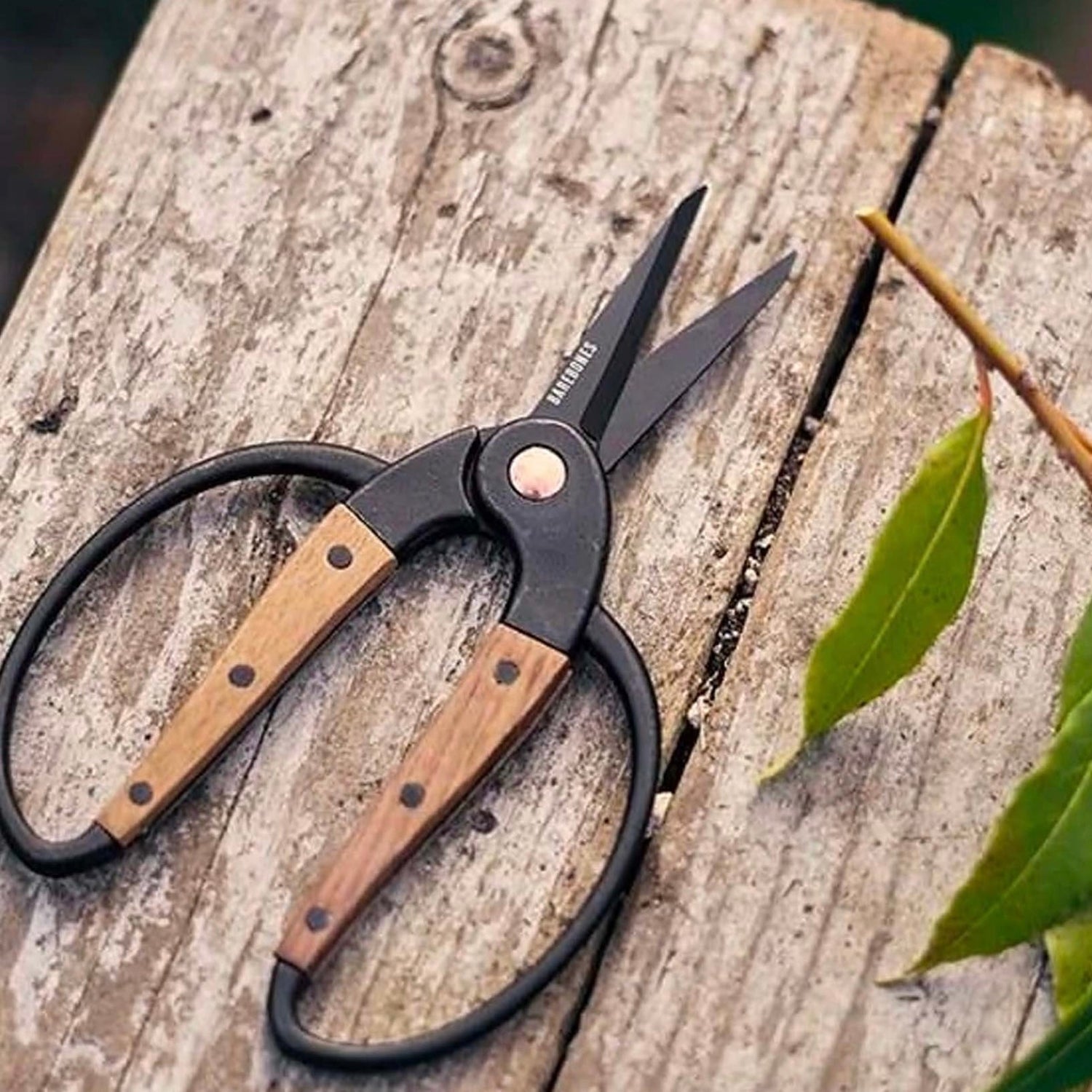 Scissors - The Flower Crate