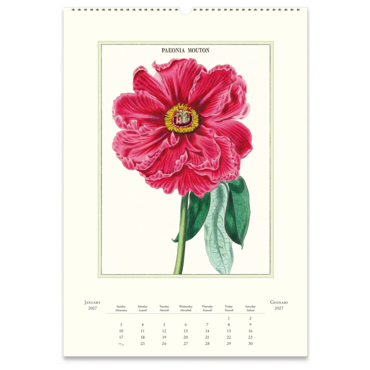 Cavallini &amp; Co - Botanica 2027 Wall Calendar