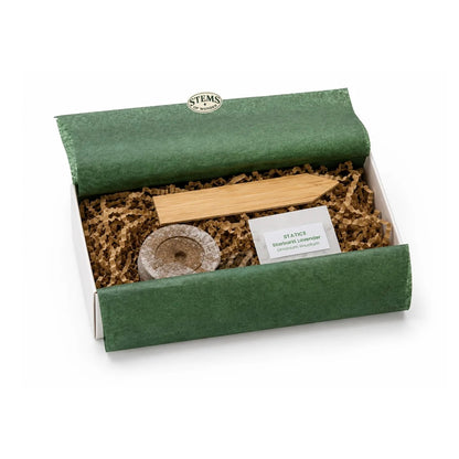 Everyday Wonders - Personality Inspired Seed Kits, Zinnia