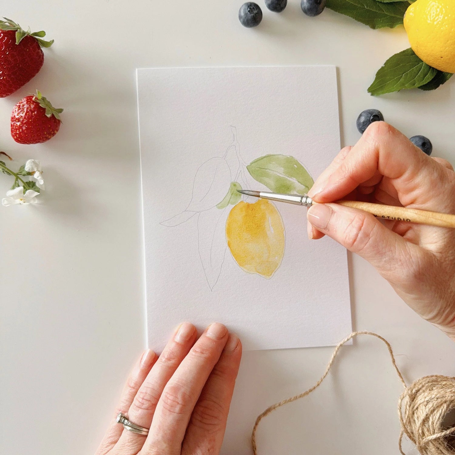 Emily Lex Studio - Fruit Paintable Notecards