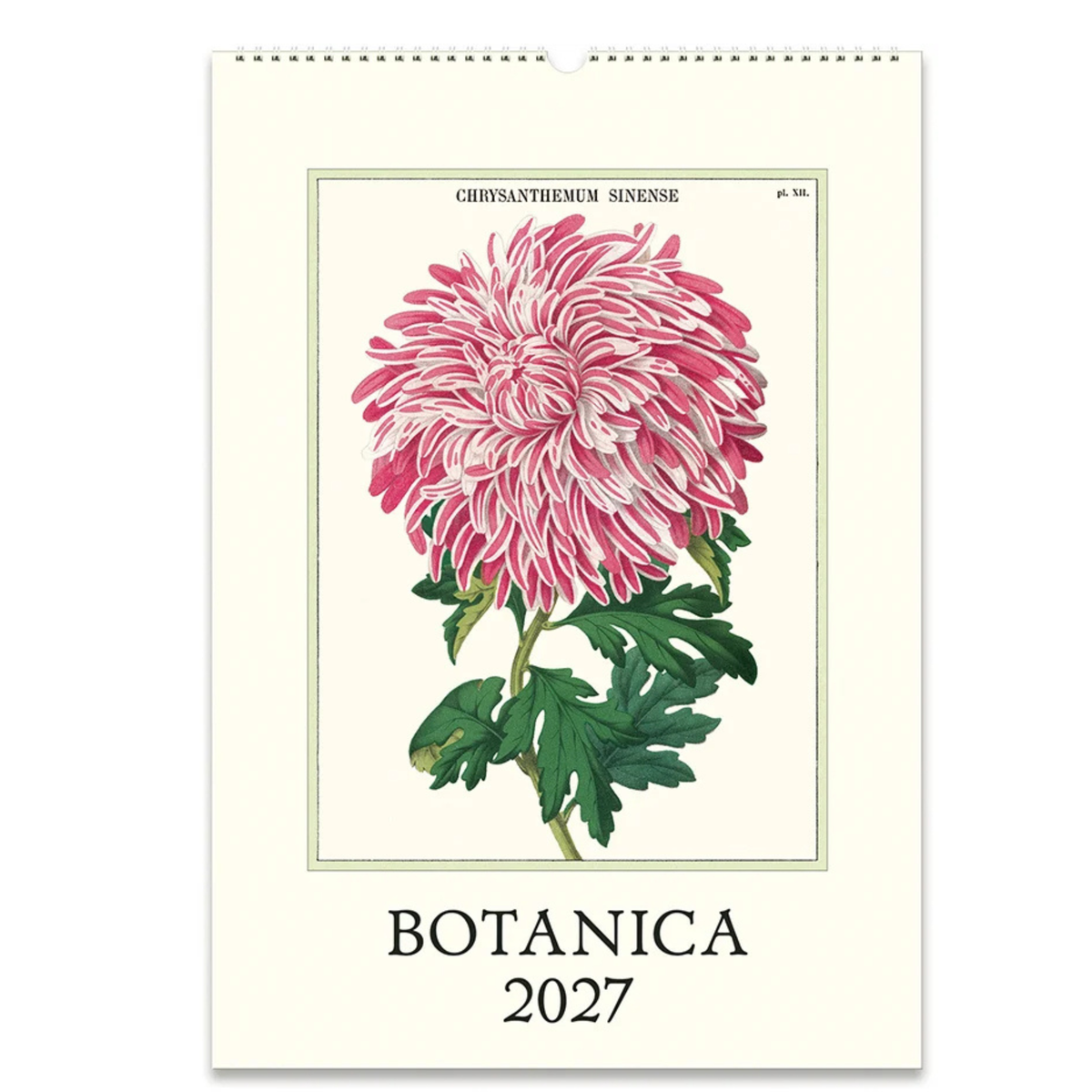 Cavallini &amp; Co - Botanica 2027 Wall Calendar