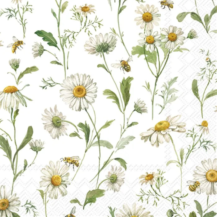 Daisies Cocktail Napkins