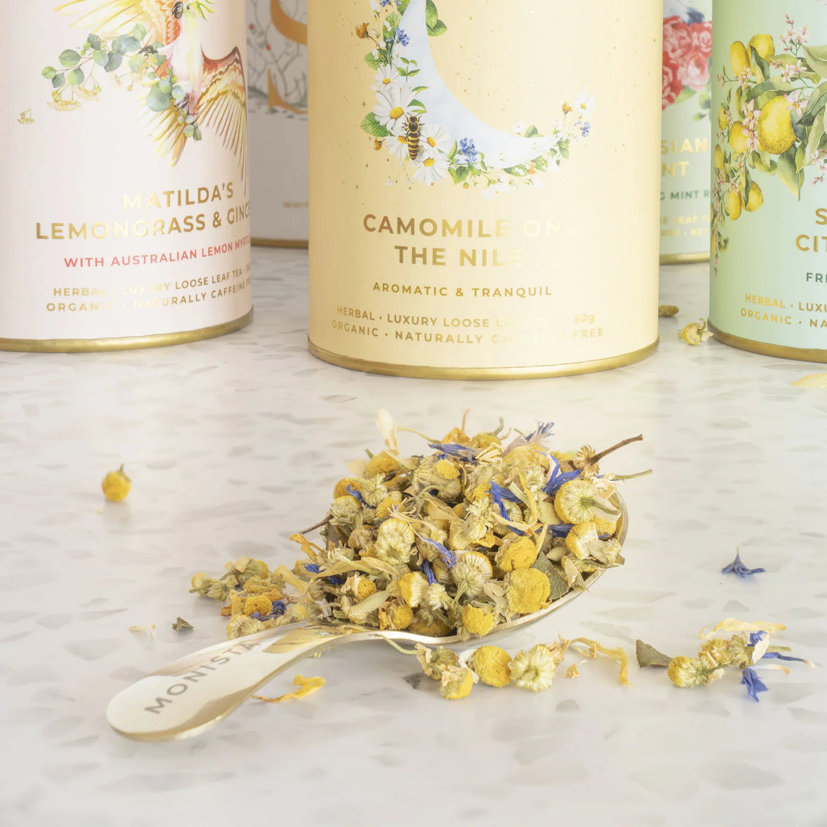 Monista Tea Co - Tea Canister Spoon
