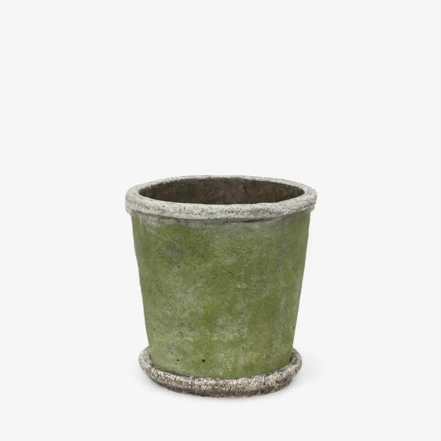 Evergreen Plant Pot &amp; Saucer