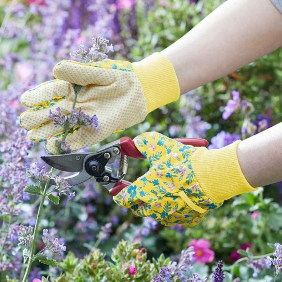 Briers - 3 Pack Cotton Grip Gardening Gloves, Sicilian Lemon