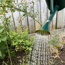 7.5 litre Classic Outdoor Watering Can - The Flower Crate