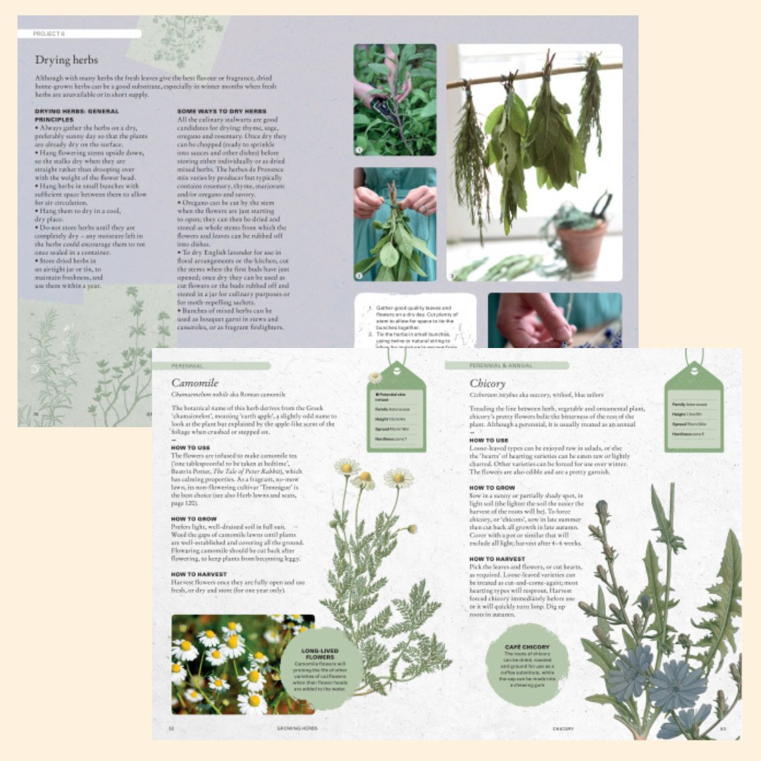 The Kew Gardener’s Guide To Growing Herbs