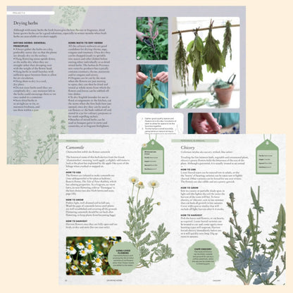 The Kew Gardener’s Guide To Growing Herbs