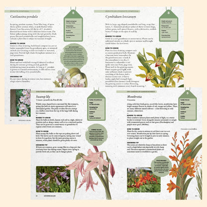 The Kew Gardener’s Guide To Growing Bulbs