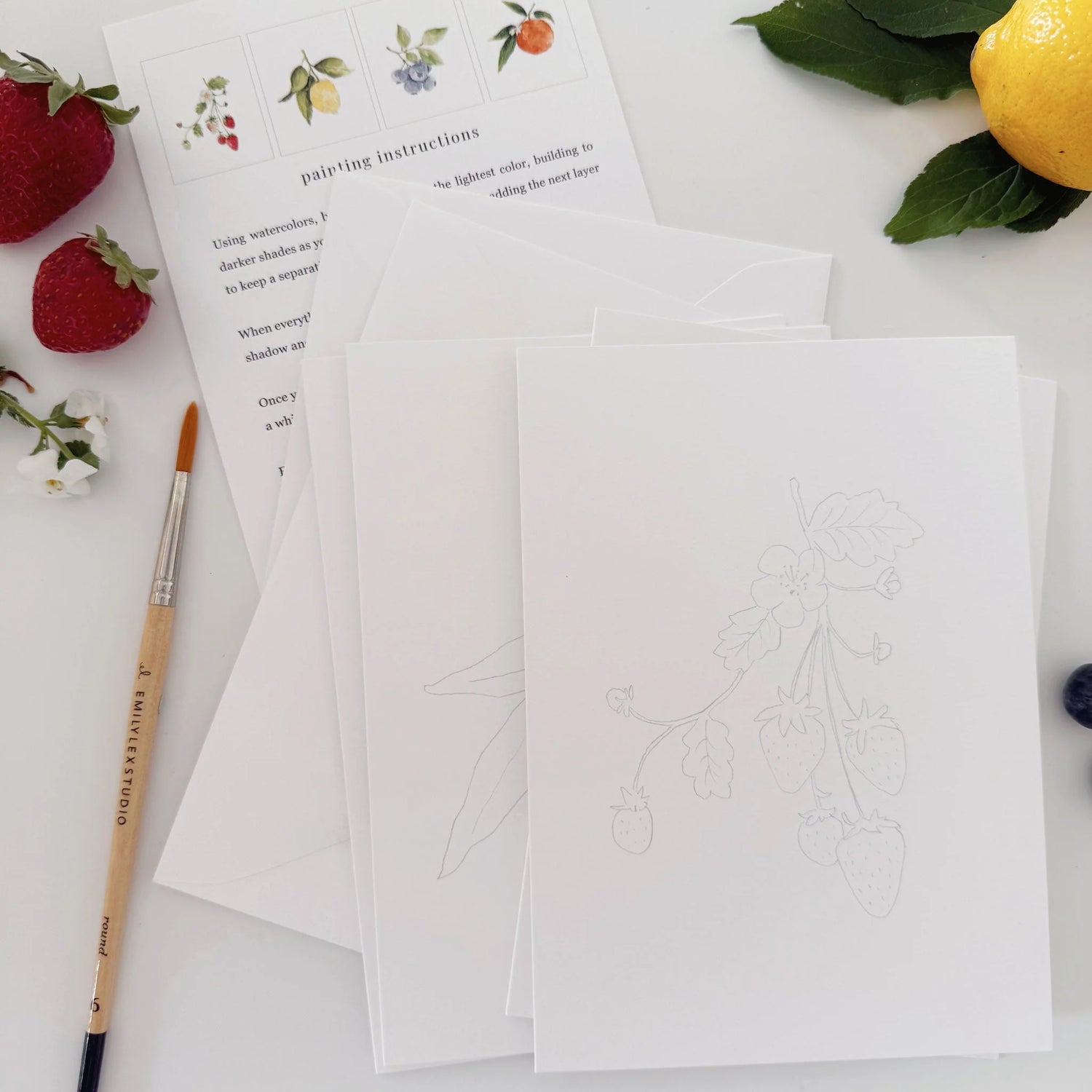 Emily Lex Studio - Fruit Paintable Notecards
