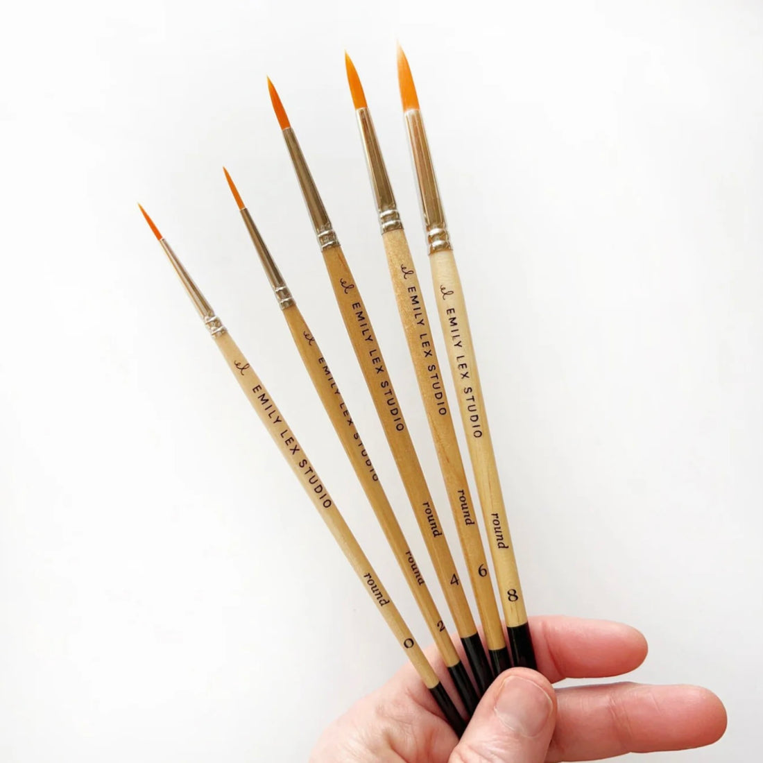 Emily Lex Studio - Paintbrush Set