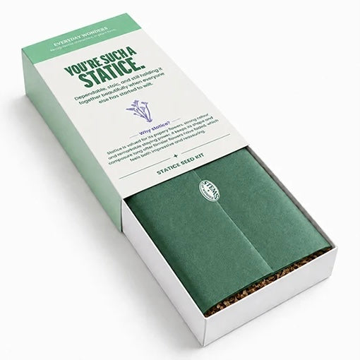 Everyday Wonders - Personality Inspired Seed Kits, Zinnia