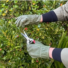 Leather Gardening Gloves - Medium