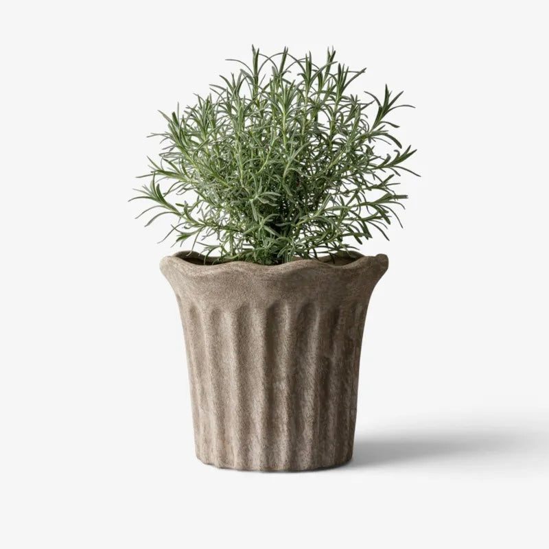 Terra Fluted Planter