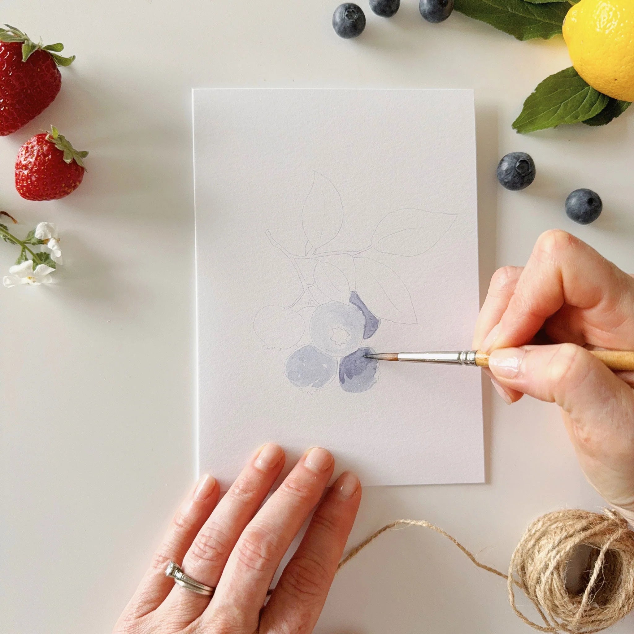 Emily Lex Studio - Fruit Paintable Notecards