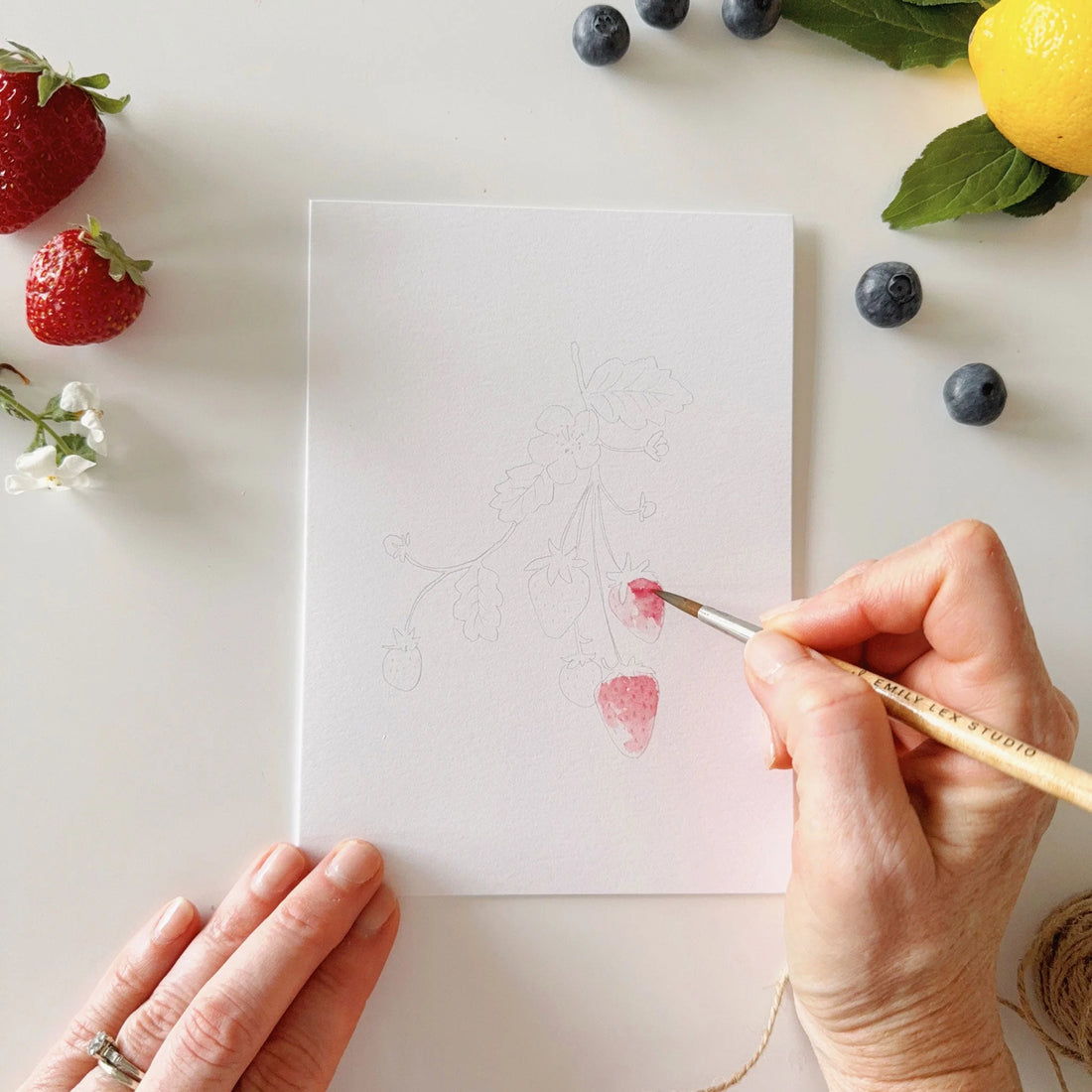 Emily Lex Studio - Fruit Paintable Notecards