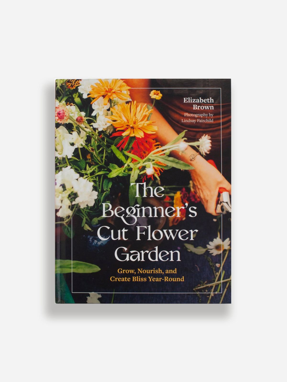 Beginners Cut Flower Garden