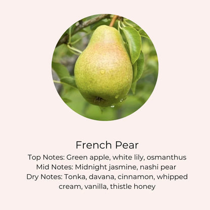 Amanda Alexander Collection - Christmas Bauble Candle, Champagne Gold - The Flower Crate