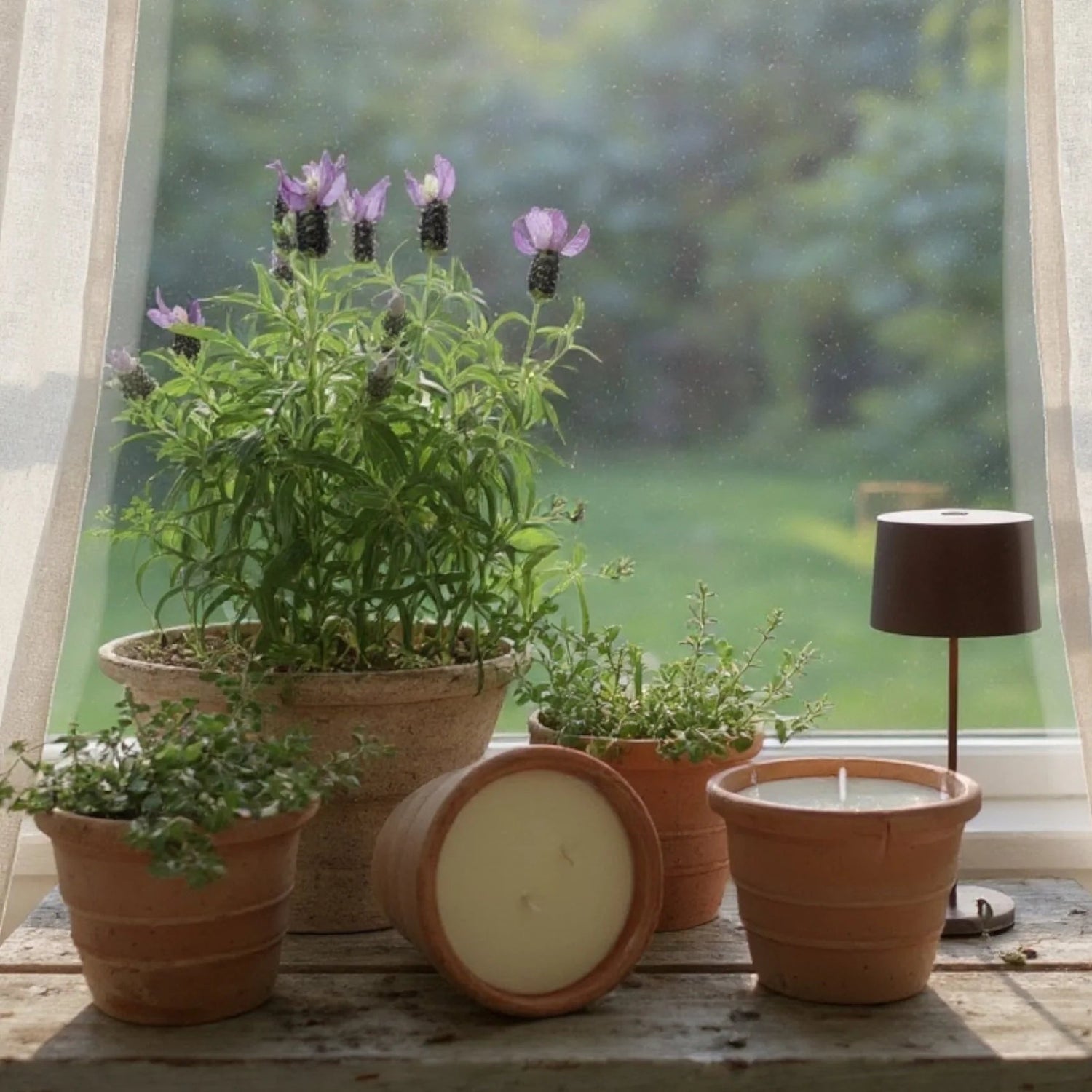 Amanda Alexander - Olive &amp; Fig Province Candle - The Flower Crate