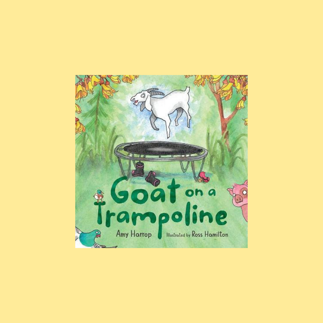 Amy Harrop - Goat On A Trampoline - The Flower Crate