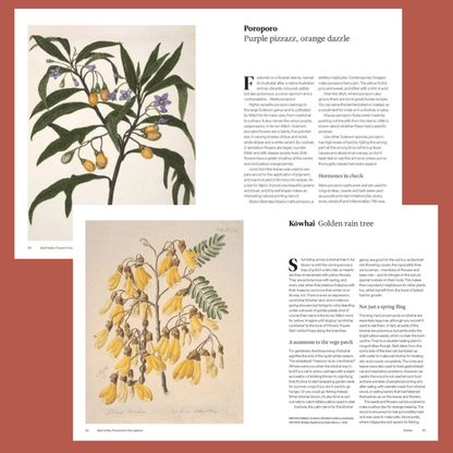 Aotearoa in Bloom - The History, Culture and Practical uses on NZ’s Flowers - The Flower Crate