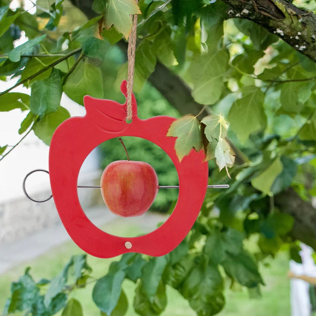 Bamboo Bird Feeder - Red Apple - The Flower Crate