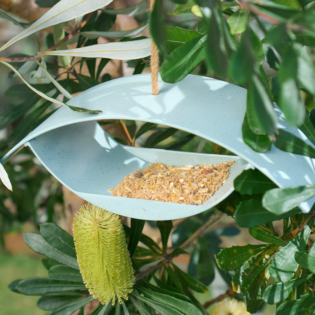 Bamboo Retro Bird House - The Flower Crate