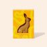 Bennetts - Amber Chocolate Easter Bunny - The Flower Crate
