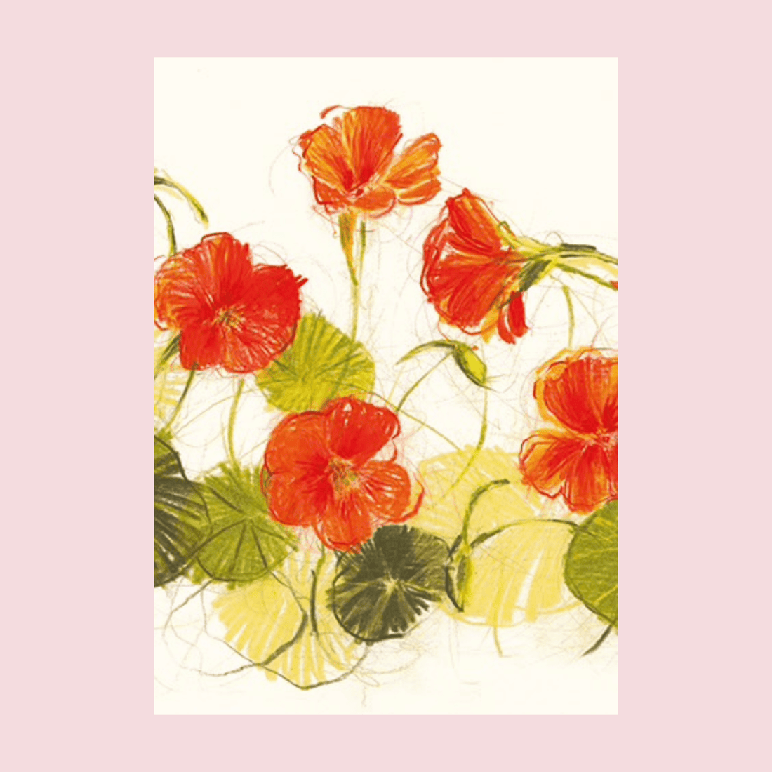 Bloom Greeting Cards by Claudia Lowry - The Flower Crate