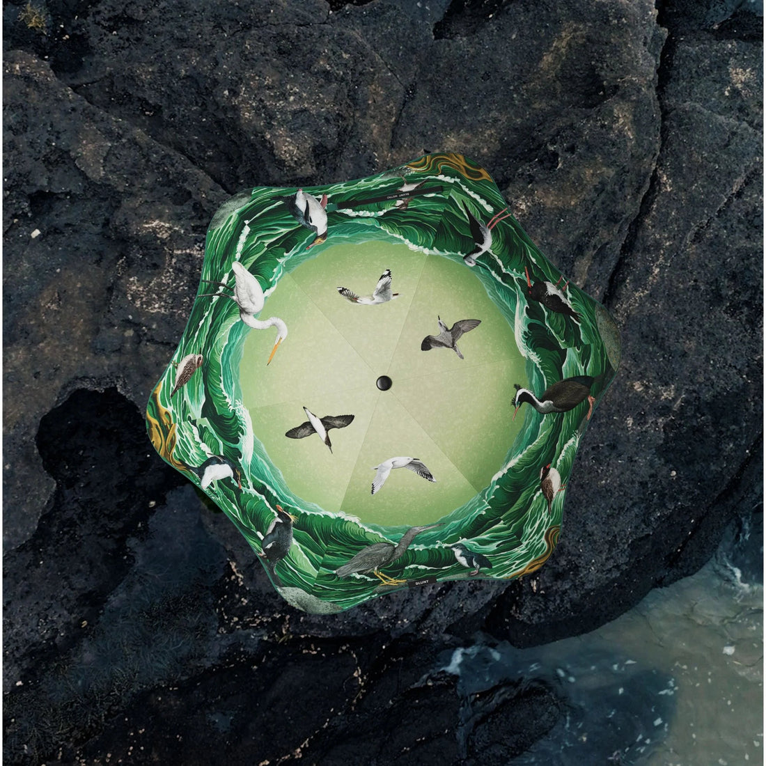 Blunt Umbrellas - Metro, Forest & Bird 2025 Ltd Ed - The Flower Crate