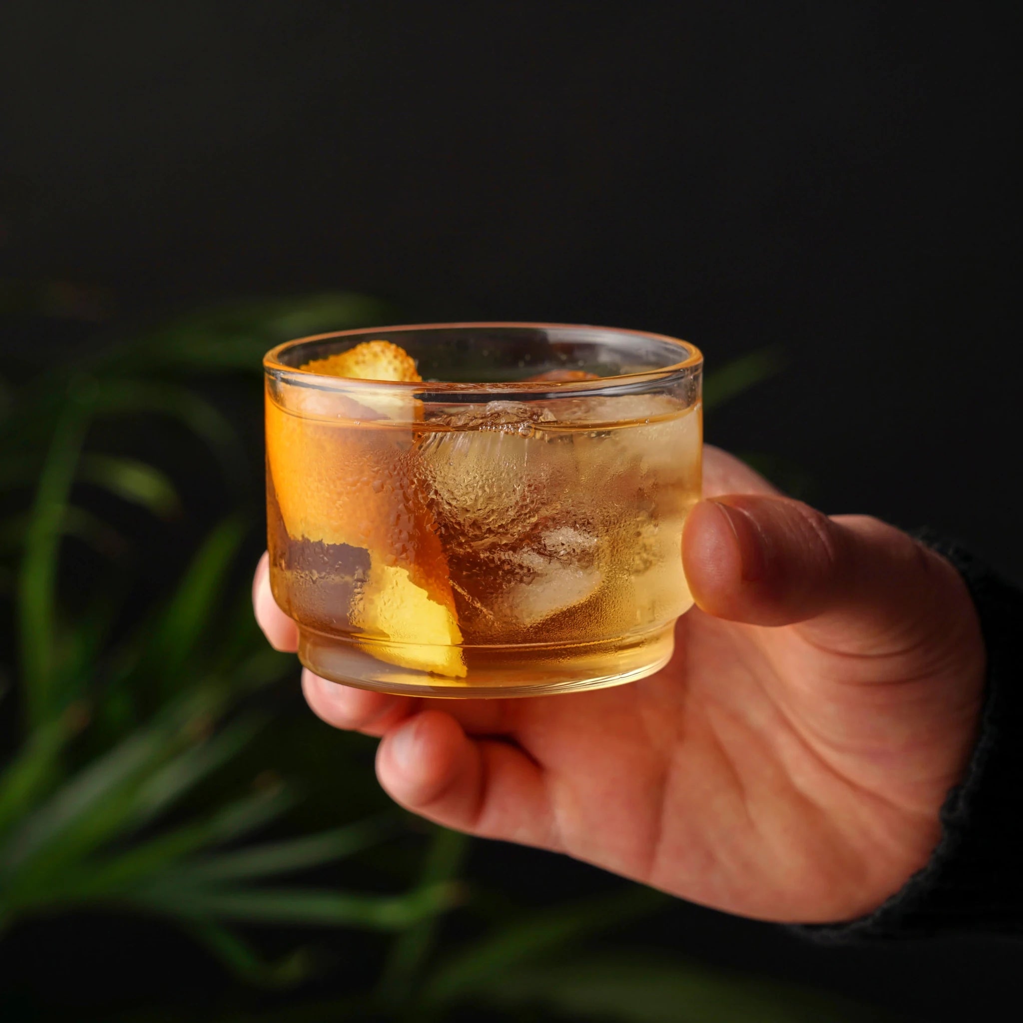 Bodega Glasses, Set 6 by Viski - The Flower Crate