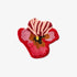 Bonnie & Neil Bath Mat - Pink Viola - The Flower Crate
