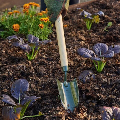 BoronGreen Mid Handled Trowel - The Flower Crate