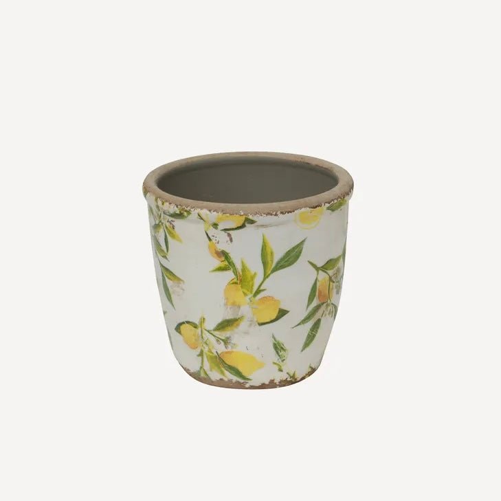 Botanical Lemon Jug Pot - The Flower Crate